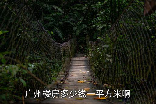 廣州樓房多少錢(qián)一平方米啊