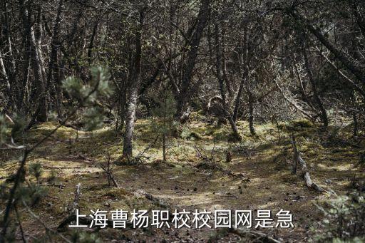 上海市曹楊職校導介詞，上海曹楊職校校園網是急