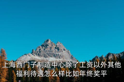 上海西門子制造中心除了工資以外其他福利待遇怎么樣比如年終獎平