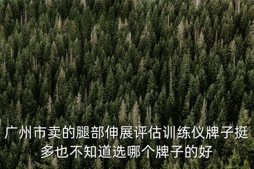 廣州設備評估公司，廣州市賣的腿部伸展評估訓練儀牌子挺多也不知道選哪個牌子的好