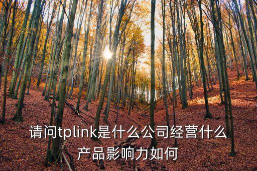 請問tplink是什么公司經營什么產品影響力如何