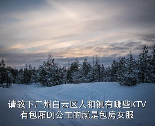 請(qǐng)教下廣州白云區(qū)人和鎮(zhèn)有哪些KTV有包廂DJ公主的就是包房女服