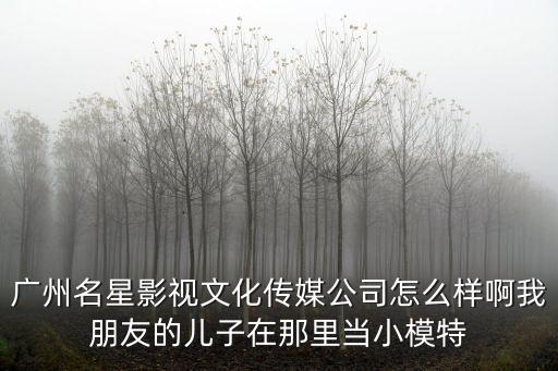 廣州名星影視文化傳媒公司怎么樣啊我朋友的兒子在那里當(dāng)小模特
