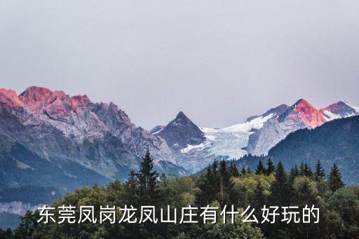 東莞鳳崗龍鳳山莊有什么好玩的