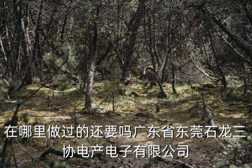 在哪里做過的還要嗎廣東省東莞石龍三協電產電子有限公司