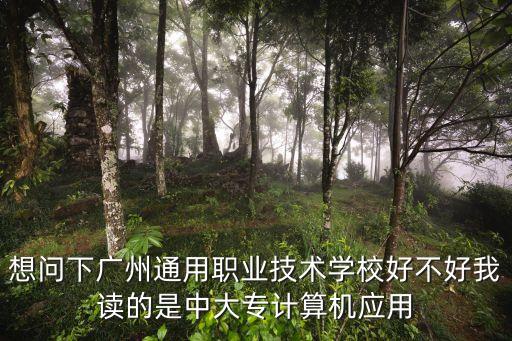 想問下廣州通用職業技術學校好不好我讀的是中大專計算機應用