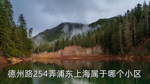 上海市德州路254號(hào)，德州路254弄浦東上海屬于哪個(gè)小區(qū)
