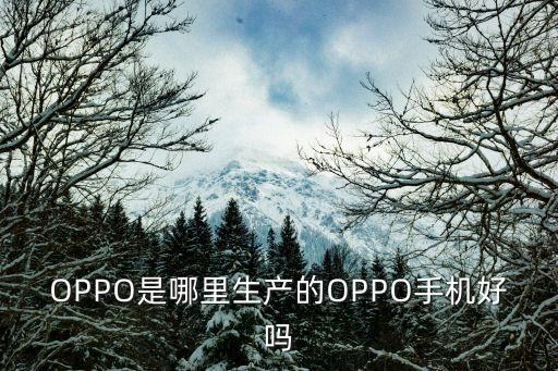 東莞萬科皇馬酈宮房值得買嗎，東莞大朗的房子哪里值得投資