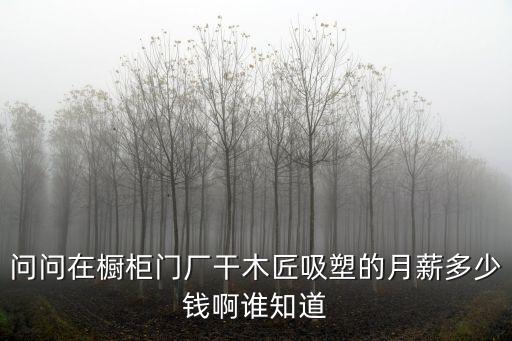 問問在櫥柜門廠干木匠吸塑的月薪多少錢啊誰知道