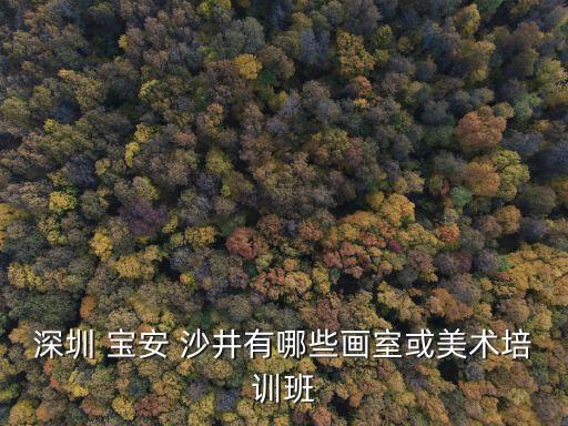 深圳 寶安 沙井有哪些畫室或美術培訓班