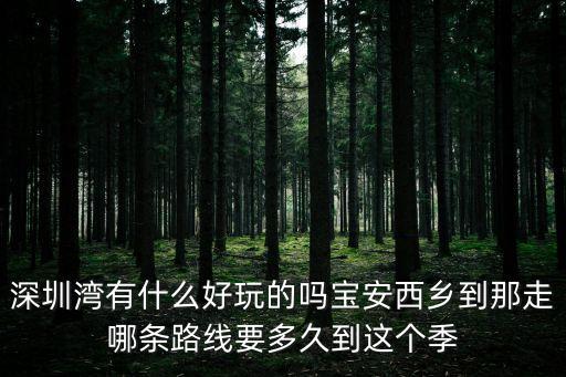 深圳灣西段風景，深圳灣公園哪個區風景漂亮一點啊啊