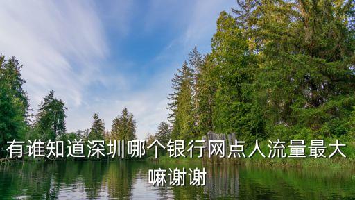 深圳銀行服務(wù)網(wǎng)點(diǎn)排名，深圳哪個(gè)銀行最好