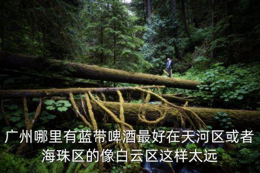 廣州哪里有藍帶啤酒最好在天河區或者海珠區的像白云區這樣太遠