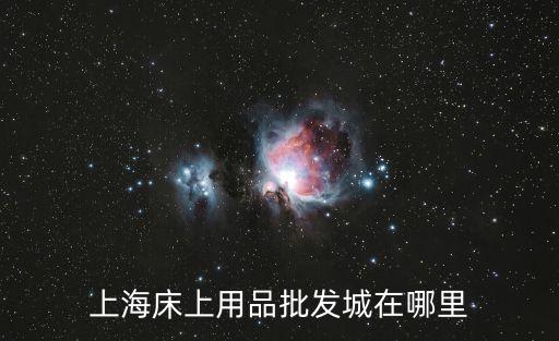 上海市恐龍床上用品專賣，上海床上用品批發城在哪里