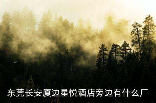 東莞長安廈邊星悅酒店旁邊有什么廠