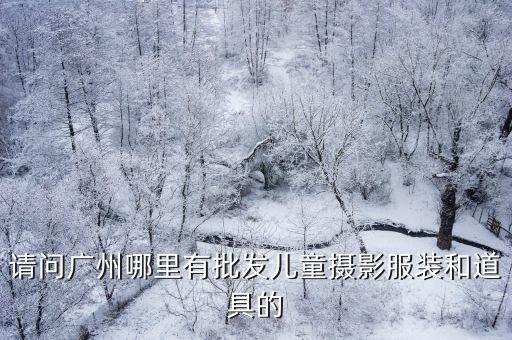 廣州影樓道具批發市場，廣州哪里有影樓攝影道具批發嗎