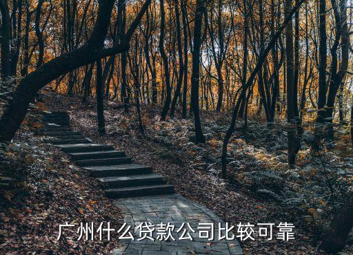 廣州可靠的貸款公司，廣州小額貸款公司哪家比較專業(yè)