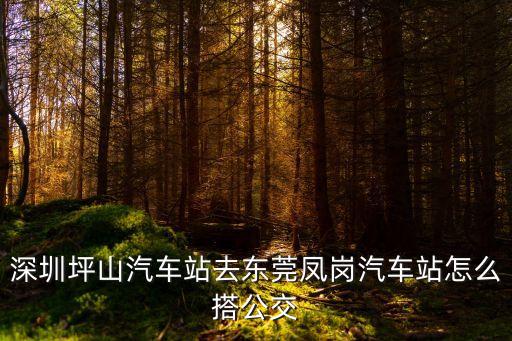 深圳坪山到鳳崗大運城邦，深圳坪山到東莞鳳崗怎么坐車