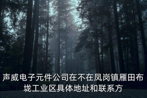 東莞鳳崗hips公司地址，東莞鳳崗哪里有藍(lán)牙耳機(jī)oem代工廠