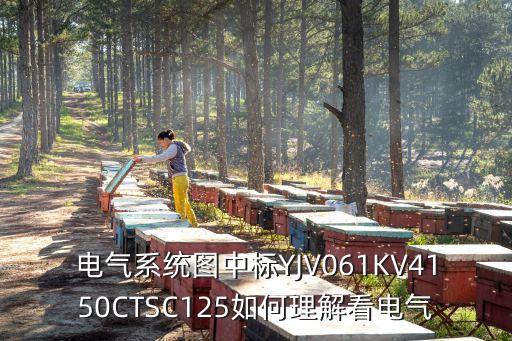 電氣系統(tǒng)圖中標YJV061KV4150CTSC125如何理解看電氣