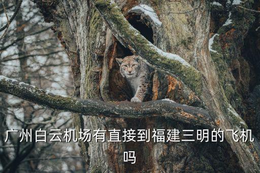 廣州到三明沙縣飛機(jī)，廣州到沙縣飛機(jī)票多少錢一張