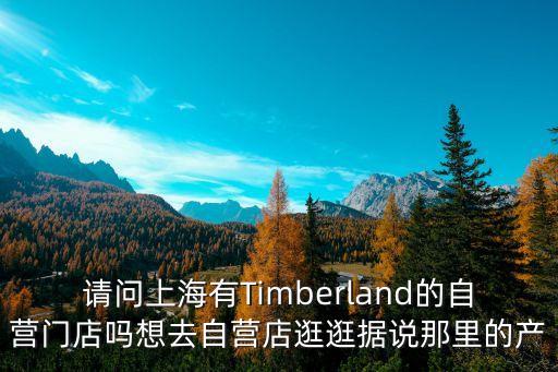 皇栗皇上海市場店，請問上海有Timberland的自營門店嗎想去自營店逛逛據說那里的產