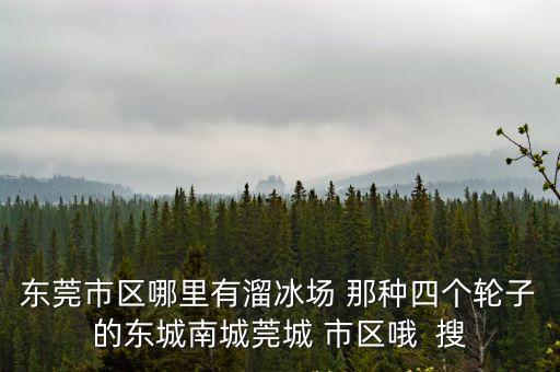 東莞市區(qū)哪里有溜冰場 那種四個輪子的東城南城莞城 市區(qū)哦  搜