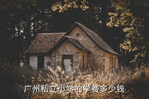廣州嘉州小學學費，廣州民辦小學怎么收費誰能告訴我