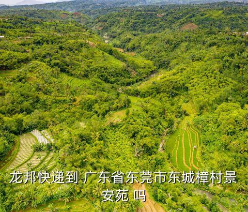 東莞市景安苑鎮，龍邦快遞到 廣東省東莞市東城樟村景安苑 嗎