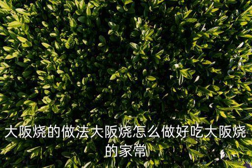 廣州關西大阪燒，大坂燒是什么