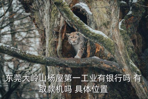 東莞大嶺山楊屋第一工業有銀行嗎 有取款機嗎 具體位置