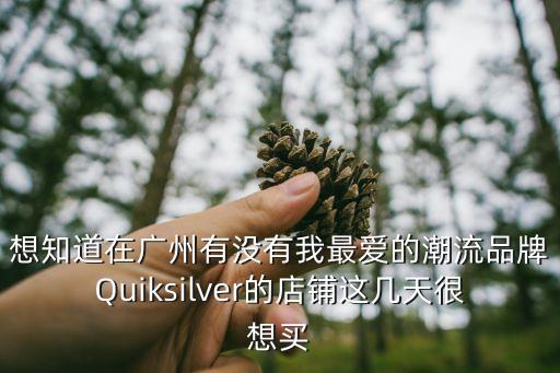 想知道在廣州有沒有我最愛的潮流品牌Quiksilver的店鋪這幾天很想買