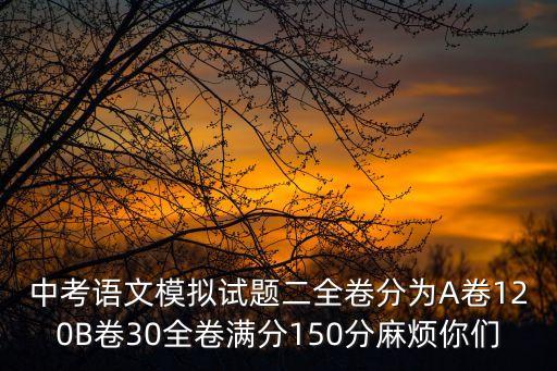 2020年深圳市中考語文綜合模擬測試卷，初三語文質量測試卷及答案