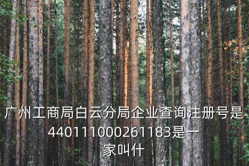 廣州工商局白云分局企業(yè)查詢注冊號是440111000261183是一家叫什
