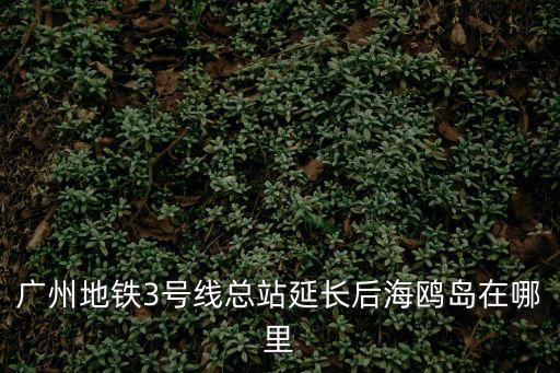 廣州地鐵3號線總站延長后海鷗島在哪里