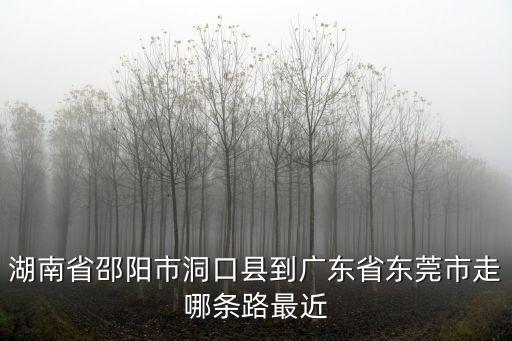 湖南省邵陽市洞口縣到廣東省東莞市走哪條路最近