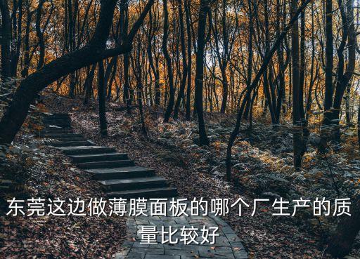 東莞這邊做薄膜面板的哪個(gè)廠生產(chǎn)的質(zhì)量比較好