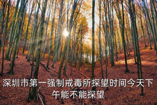 深圳市有自愿戒毒所嗎，在深圳市里有多少個(gè)強(qiáng)制戒毒所