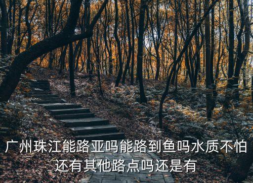 廣州珠江能路亞嗎能路到魚嗎水質不怕還有其他路點嗎還是有