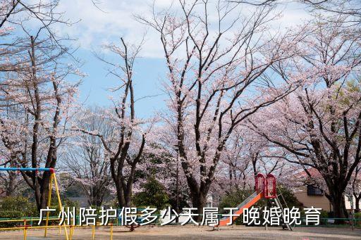 廣州帶薪侍親政策，外來人員在廣州單位買社保退休后可享受廣州退休工資侍遇嗎