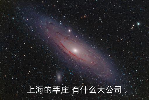 上海的莘莊 有什么大公司