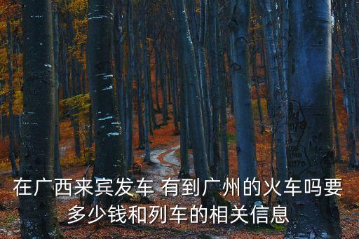 在廣西來賓發車 有到廣州的火車嗎要多少錢和列車的相關信息
