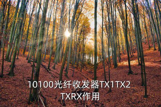 10100光纖收發器TX1TX2 TXRX作用