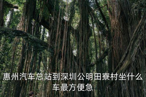 惠陽汽車站到深圳田寮，從惠州汽車總站坐什么車到深圳公明田寮最快