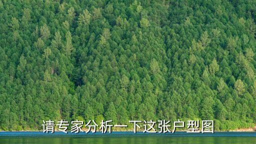 廣州聚一居戶型圖，請專家分析一下這張戶型圖