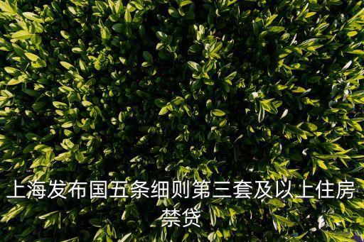 上海發布國五條細則第三套及以上住房禁貸