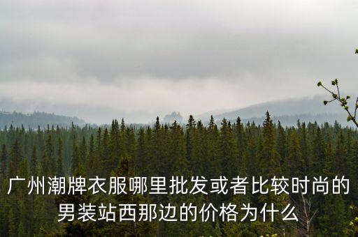 廣州潮牌衣服哪里批發或者比較時尚的男裝站西那邊的價格為什么