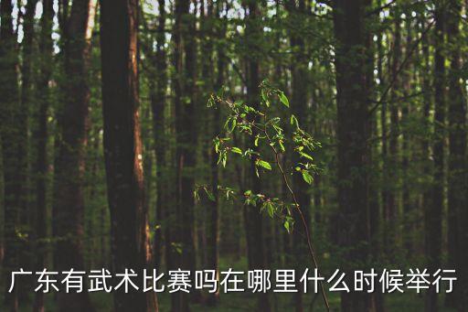 廣東有武術比賽嗎在哪里什么時候舉行