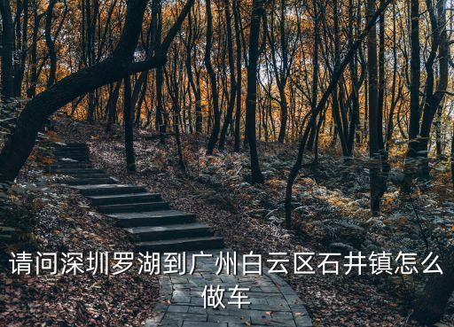 請問深圳羅湖到廣州白云區石井鎮怎么做車