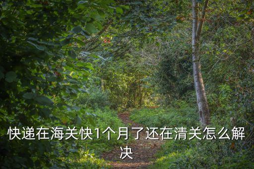 快遞在海關快1個月了還在清關怎么解決